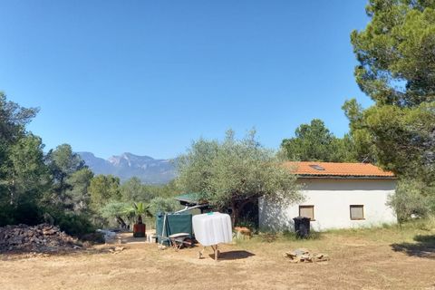 Landejendom i Ginestar, Tarragona, Ginestar - € 185.000 | Ref: CC824 - foto 40